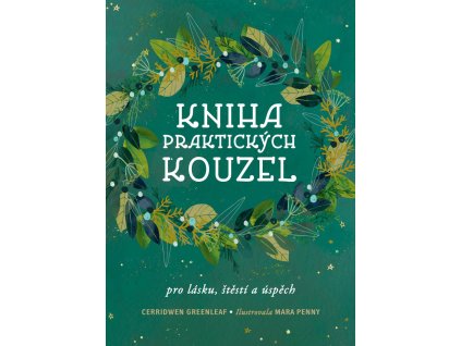 kniha
