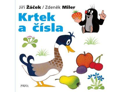 čísla