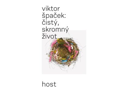 čistý