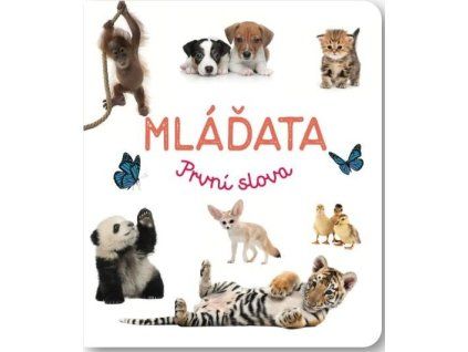 mláďata