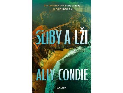 sliby a lzi