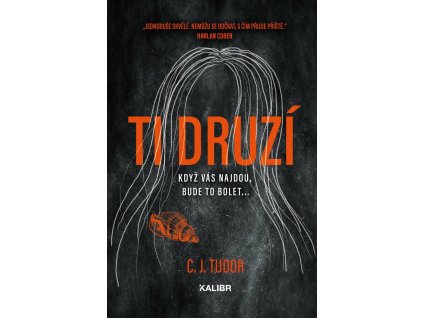 ti druzi 9788028406103