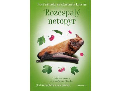 a101f0f0015691 nove pribehy se stastnym koncem rozespaly netopyr 2d