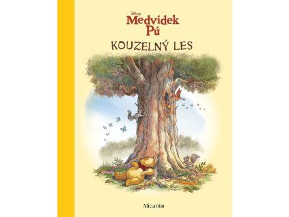 A101M0F0017507 medvidek pu kouzelny les 2d