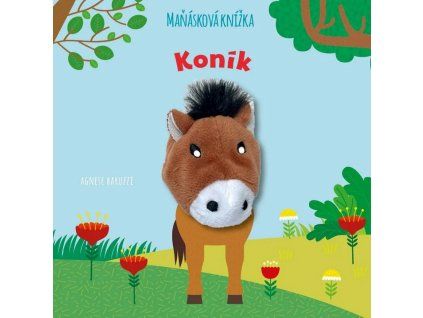 konik manaskova knizka 20260120123518 9788027775569