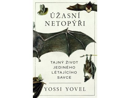 uzasny netopyr 20260227144632 9788028405458