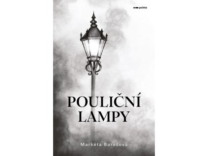 A101I0F0018525 poulicni lampy 2d