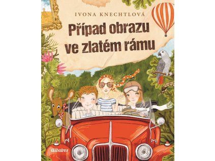 a101a0f0018417 pripad obrazu ve zlatem ramu 2d