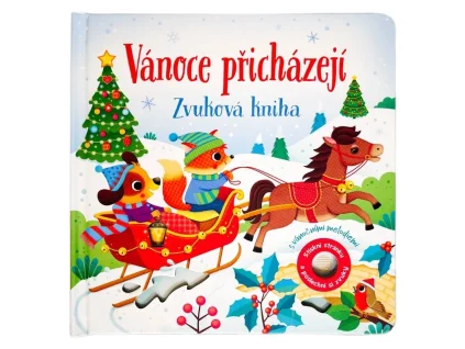 Vánoce přicházejí - Zvuková kniha - Sam Taplin