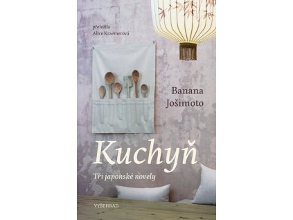 A101V0F0018749 Kuchyn 2d