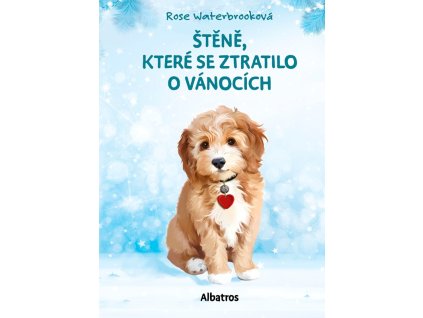 a101c0n0019607 stene 2d