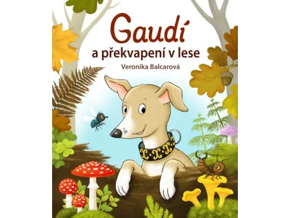 Gaudí a překvapení v lese - Veronika Balcarová