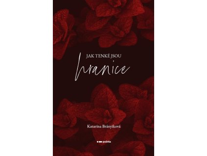 A101I0F0019099 jak tenke jsou hranice 2d
