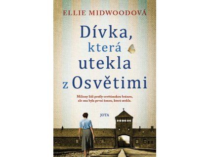 dívka