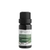 e0036c lemongras 20 ml 8595100209030 1739800927